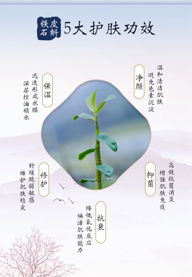 森宇控股集團(tuán)