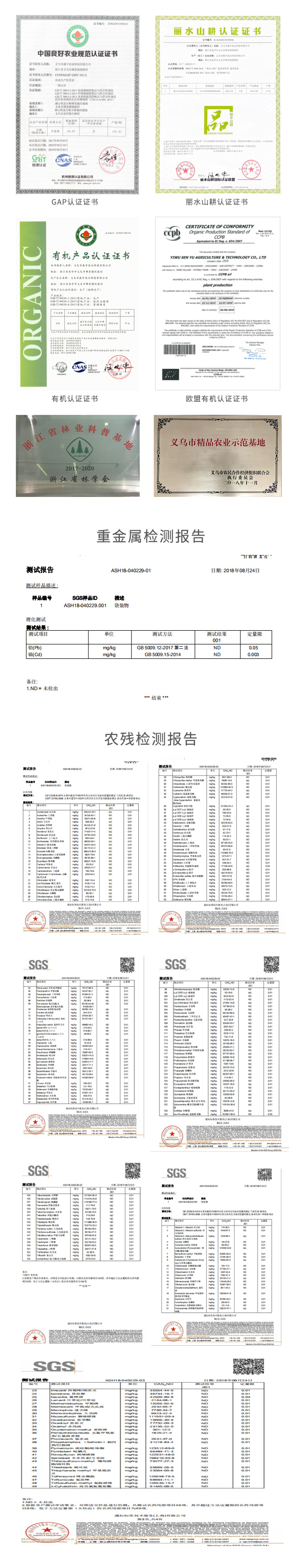 森宇控股集團