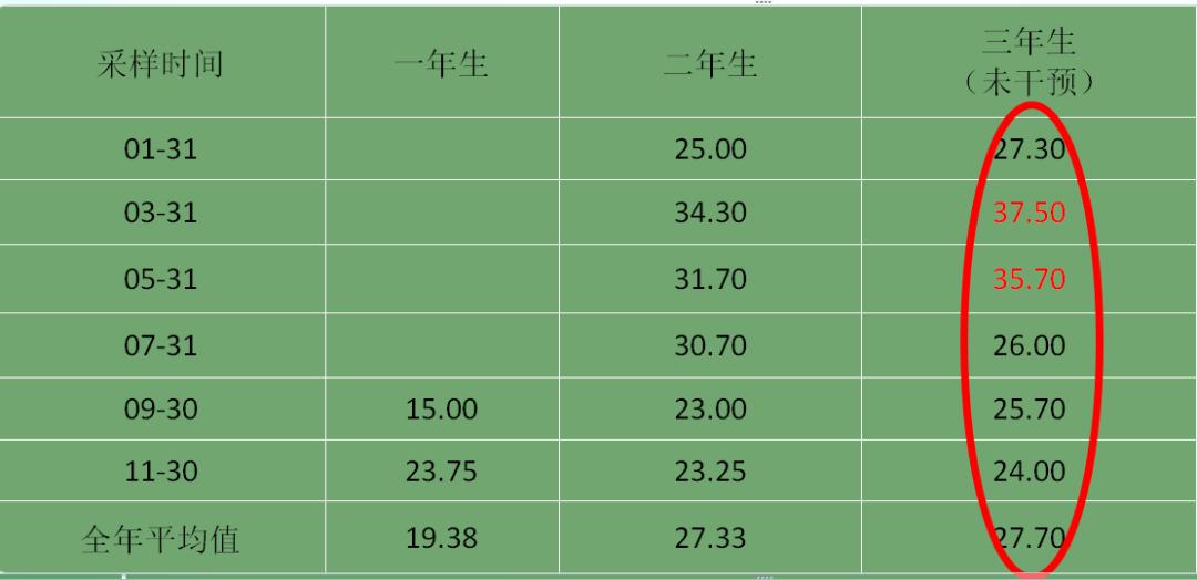 森宇控股集團