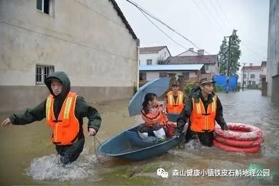 森宇控股集團